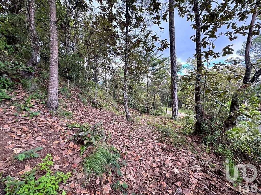 Terreno en venta en Huitepec, San Cristóbal de Las Casas
