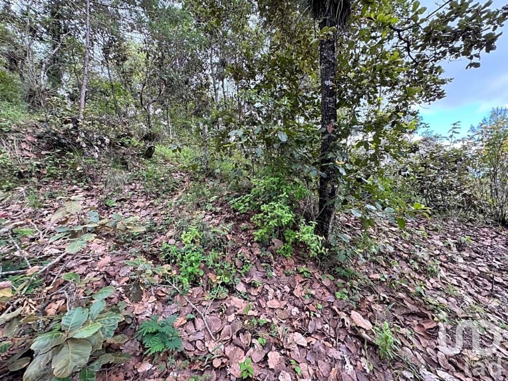 Terreno en venta en Huitepec, San Cristóbal de Las Casas