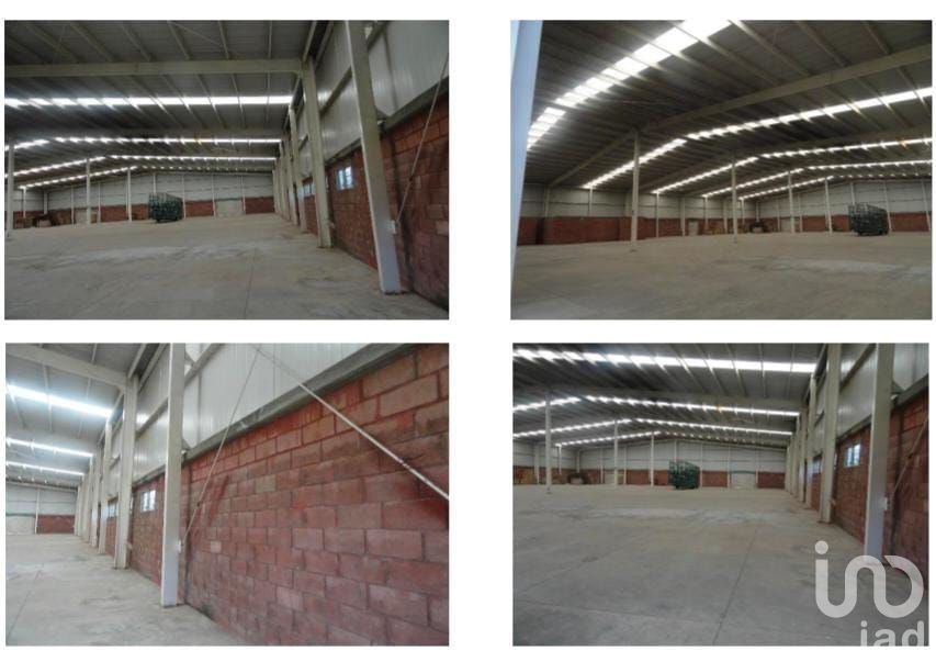 Bodega En Renta o venta En Parque Industrial El Ocotito Chilpancingo
