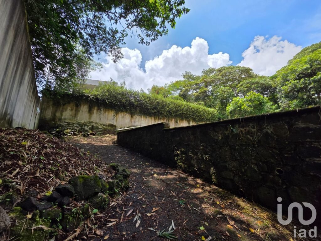 Venta de terreno campestre en el Guayabal Briones Coatepec