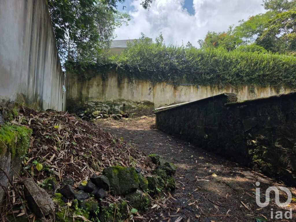 Venta de terreno campestre en el Guayabal Briones Coatepec