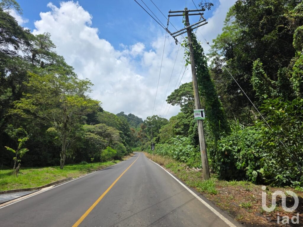 Venta de terreno campestre en el Guayabal Briones Coatepec