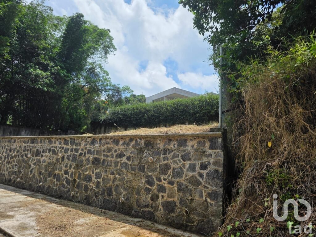 Venta de terreno campestre en el Guayabal Briones Coatepec