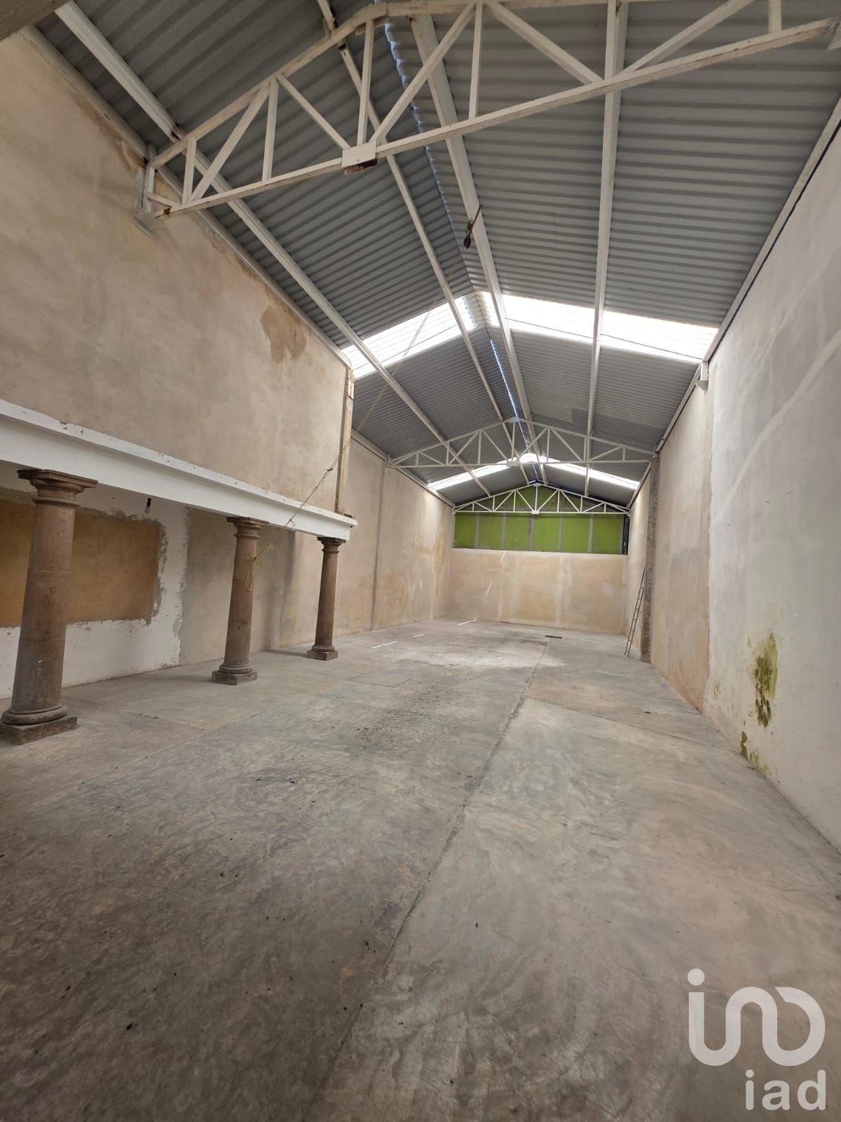 Renta de local comercial en Coatepec centro Renta de local comercial en Coatepec centro