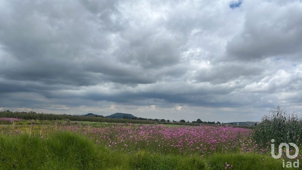 Terreno Macrolote en Venta en San Antonio Buenavista, Toluca, México
