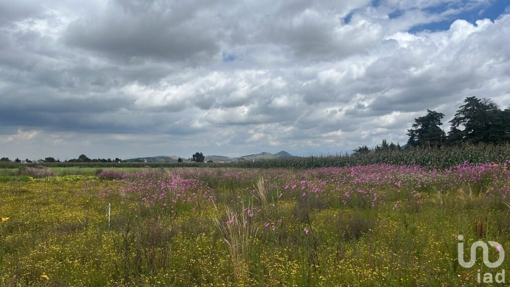 Terreno Macrolote en Venta en San Antonio Buenavista, Toluca, México