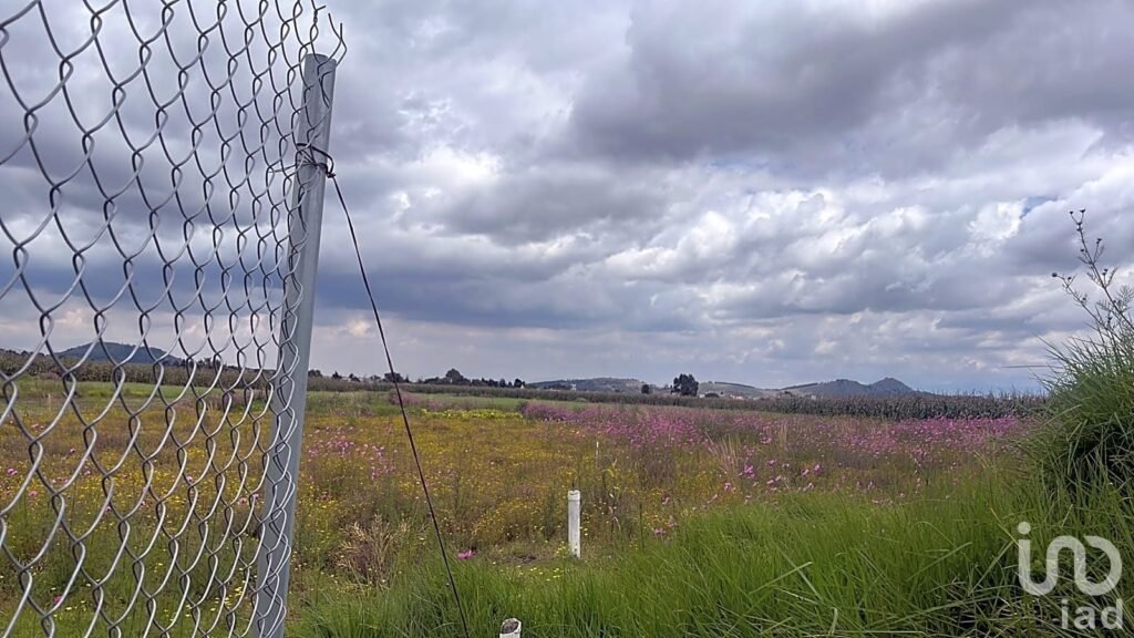 Terreno Macrolote en Venta en San Antonio Buenavista, Toluca, México