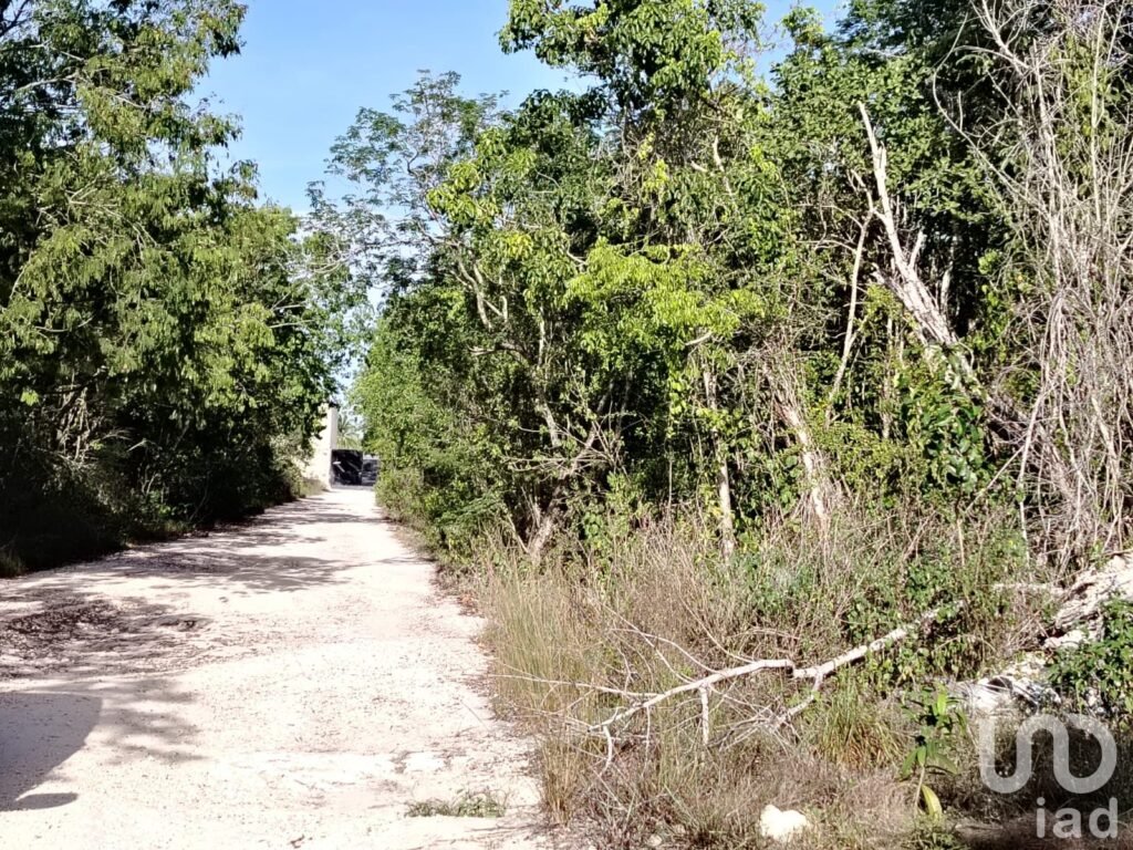 Terreno en Venta en Santa Ana, Cancún, 1000 m2, Bonfil, Escriturado