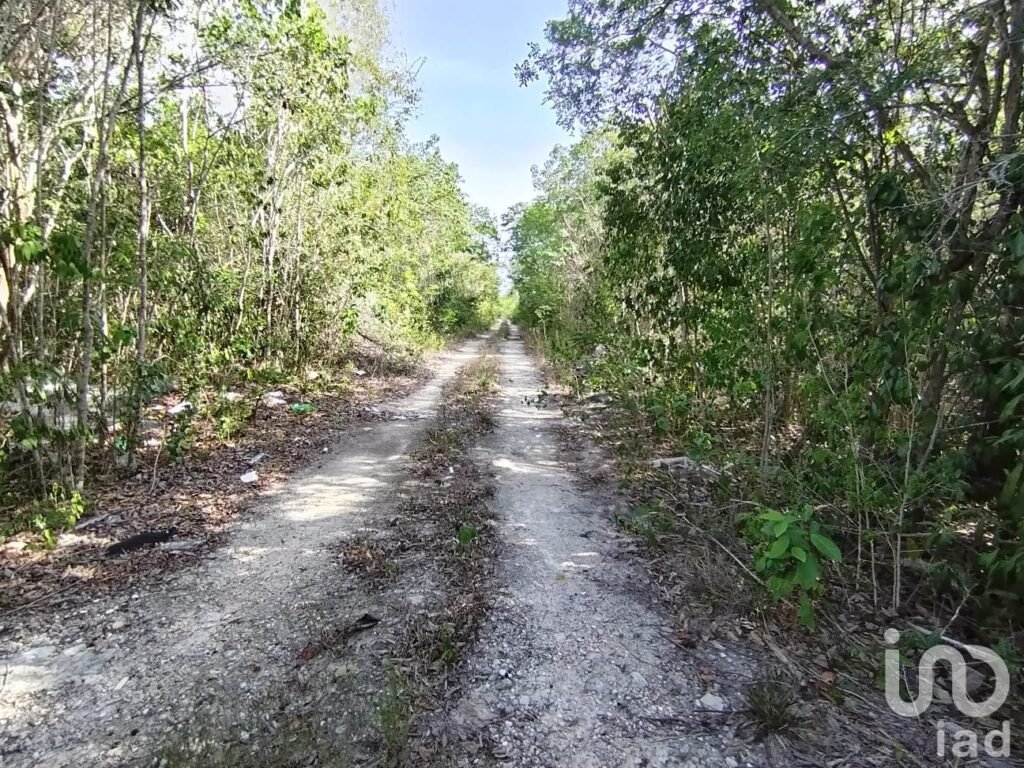 Terreno en Venta en Santa Ana, Cancún, 1000 m2, Bonfil, Escriturado