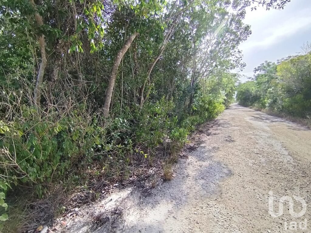Terreno en Venta en Santa Ana, Cancún, 1000 m2, Bonfil, Escriturado