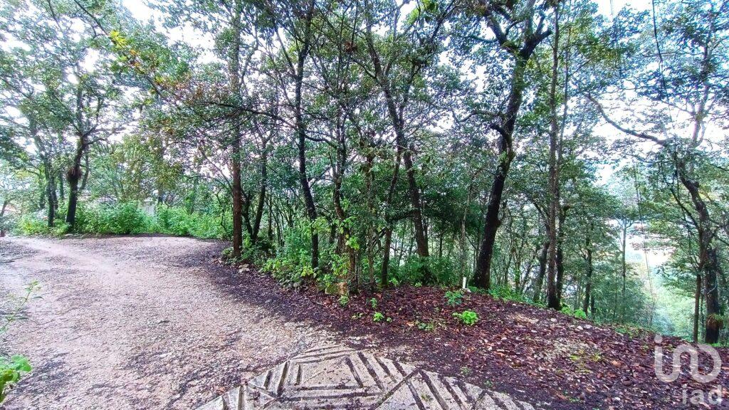 Terreno en Venta, Barrio de San Nicolás, San Cristóbal de la Casas