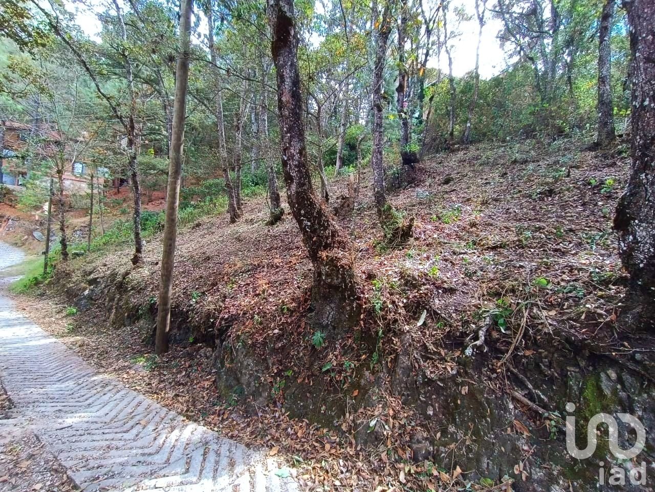Terreno en Venta, Barrio de San Nicolás, San Cristóbal de la Casas