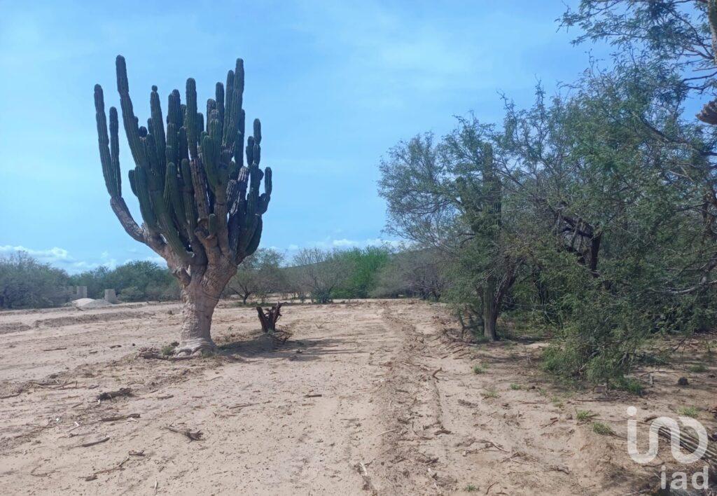 Terreno en venta en La Ribera BCS