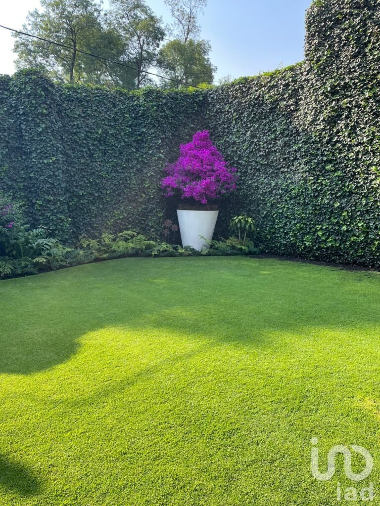 Exclusiva Residencia en Venta en San Ángel Inn - Álvaro Obregón, CDMX