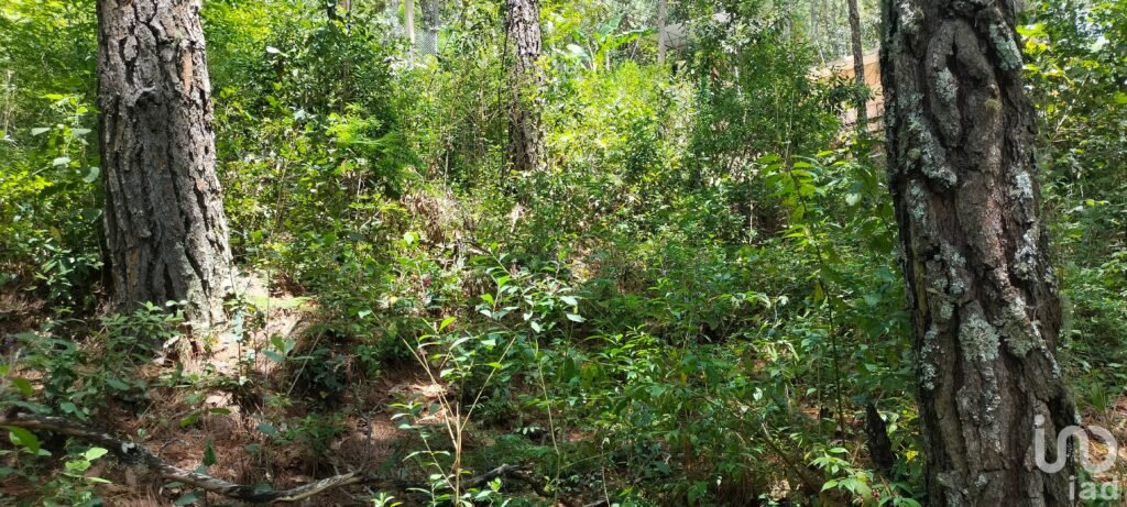 Terreno en Venta en Corral de Piedra