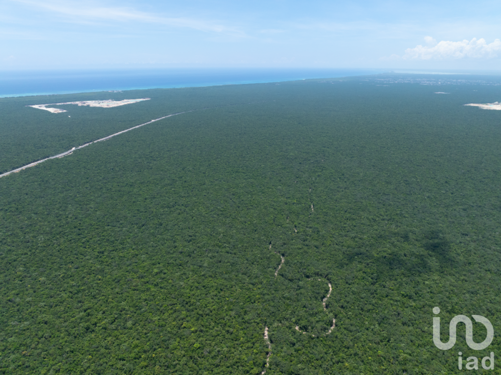 Lotes Residenciales en auténtico Desarrollo Natural en Tulum! PREVENTA