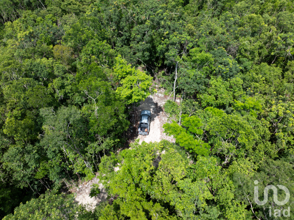 Lotes Residenciales en auténtico Desarrollo Natural en Tulum! PREVENTA
