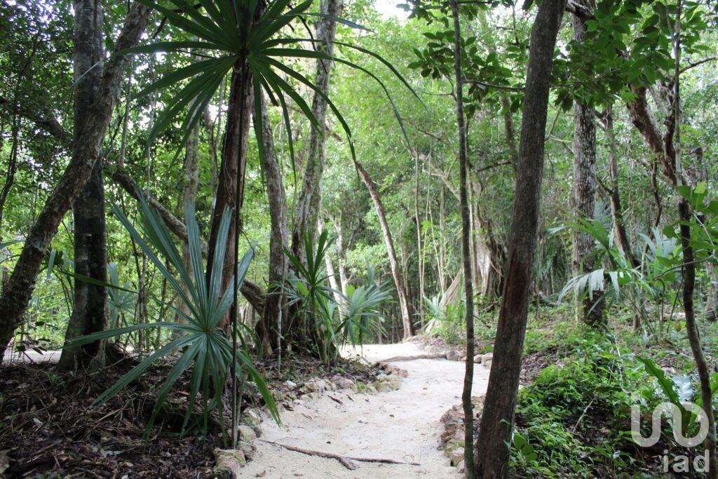 Lotes Residenciales en auténtico Desarrollo Natural en Tulum! PREVENTA