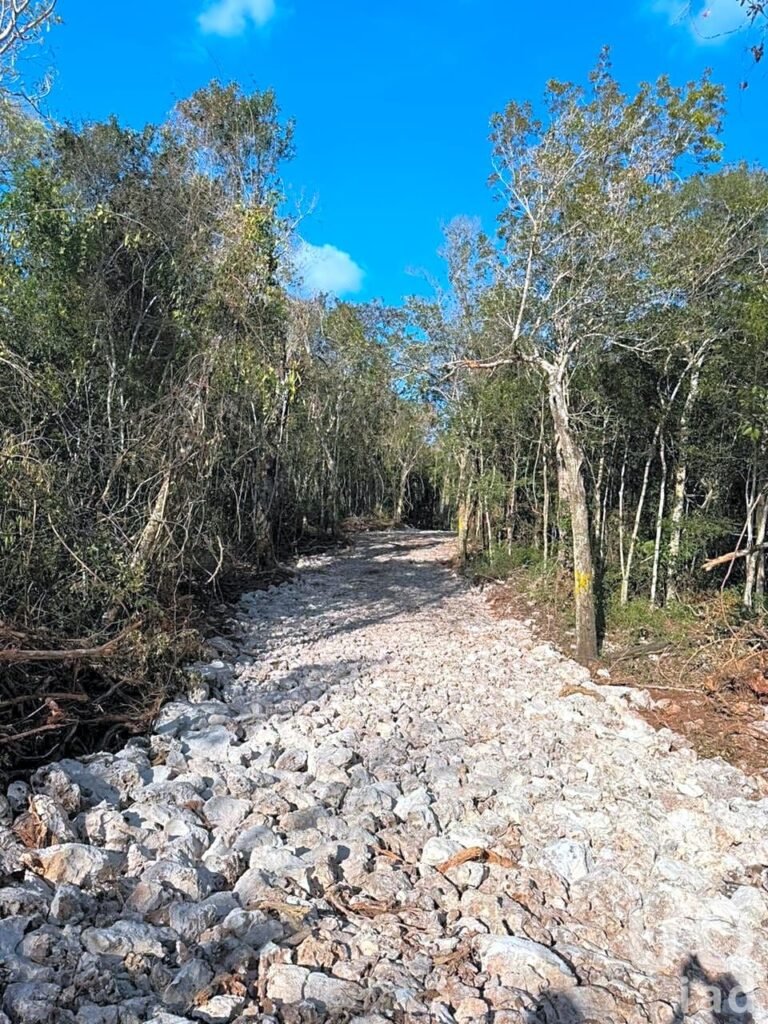 Lotes Residenciales en auténtico Desarrollo Natural en Tulum! PREVENTA