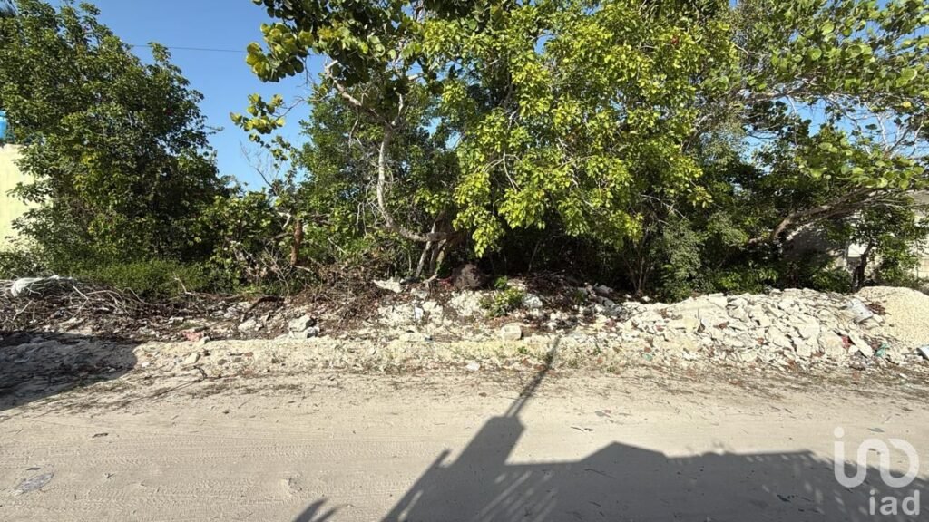 OPORTUNIDAD DE TERRENO CHELEM, PUERTO, YUCATAN