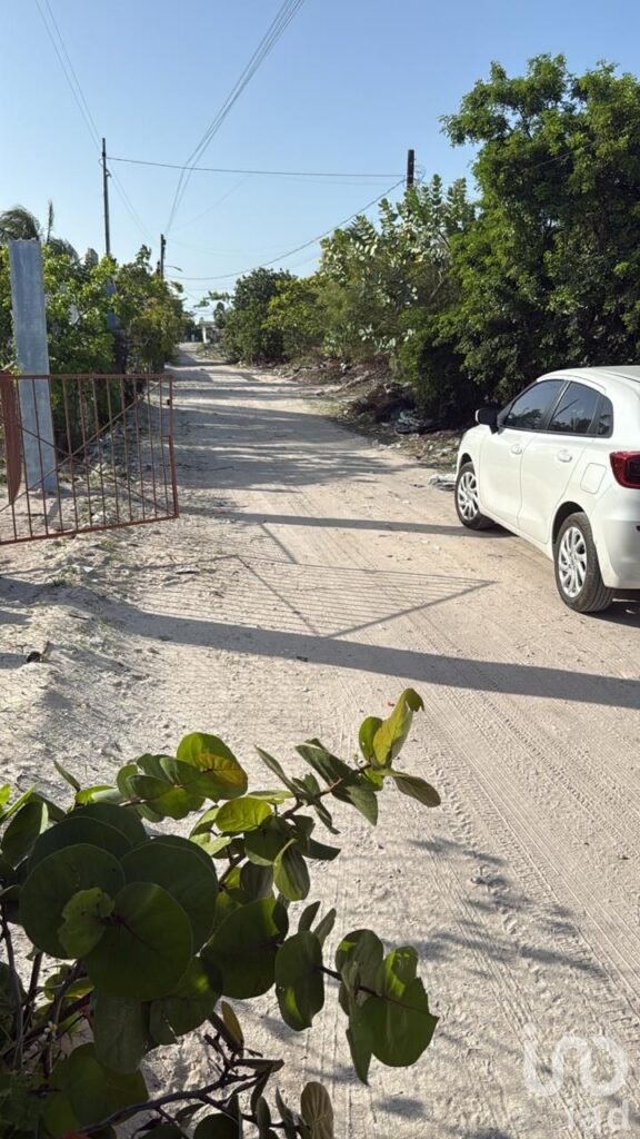 OPORTUNIDAD DE TERRENO CHELEM, PUERTO, YUCATAN