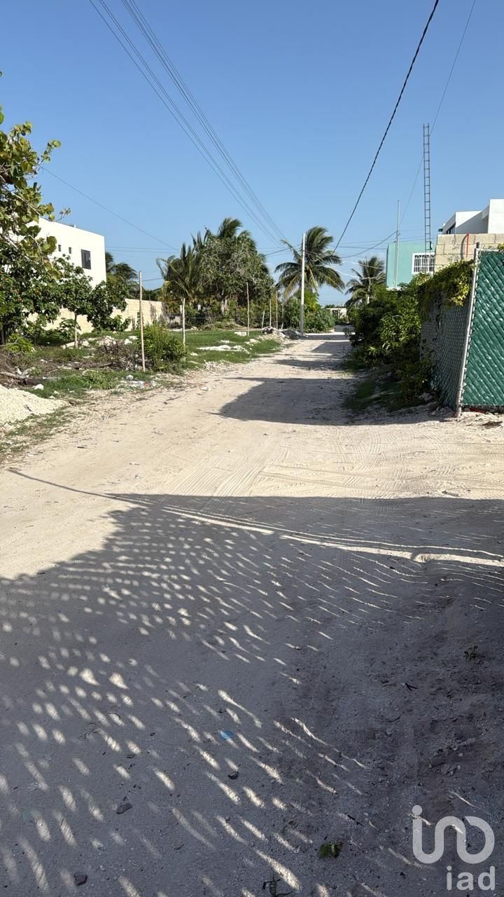 OPORTUNIDAD DE TERRENO CHELEM, PUERTO, YUCATAN