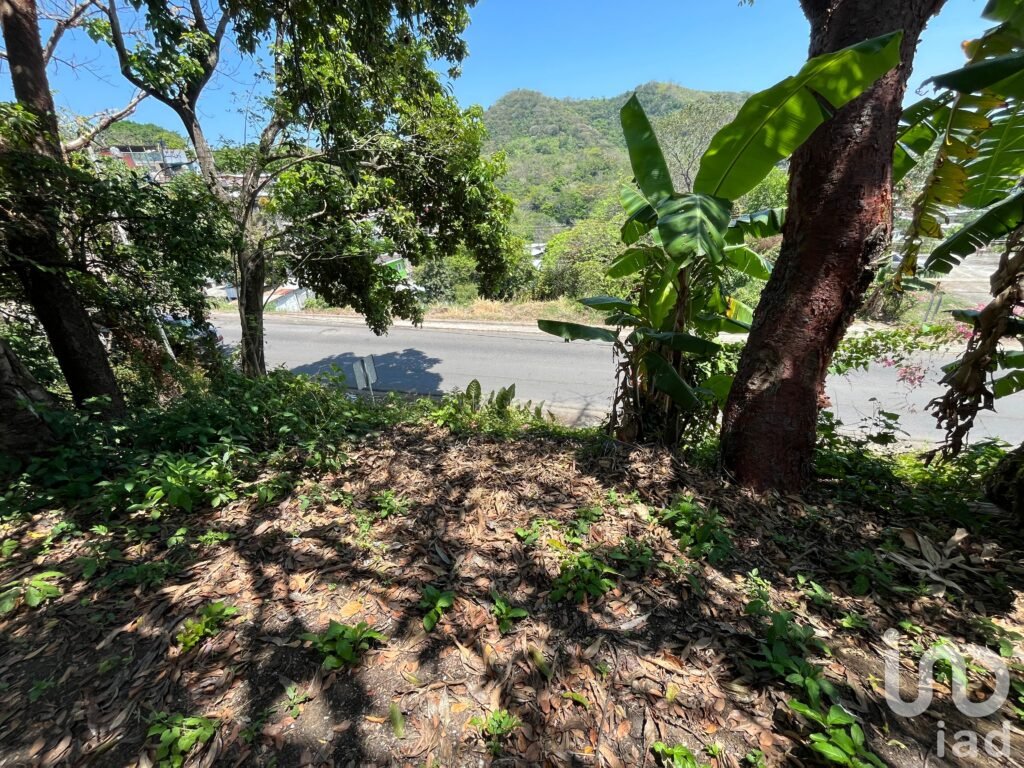 Terreno en venta en Boulevard 5 de Febrero en San Andrés Tuxtla, Ver.