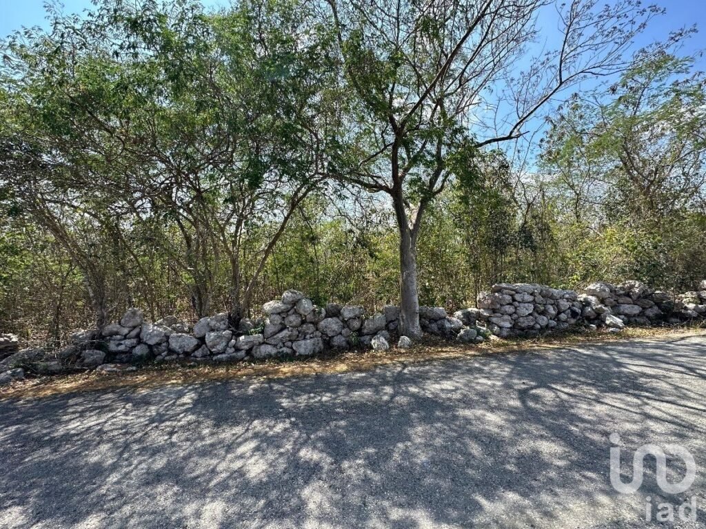 Terreno en SUYTUNCHEN - Venta - Mérida Yucatán