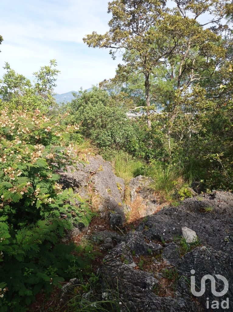 Terreno en venta barrio de San Nicolás, San Cristóbal de las Casas, Chiapas