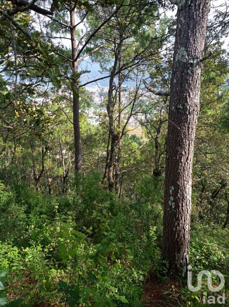 Terreno en venta barrio de San Nicolás, San Cristóbal de las Casas, Chiapas
