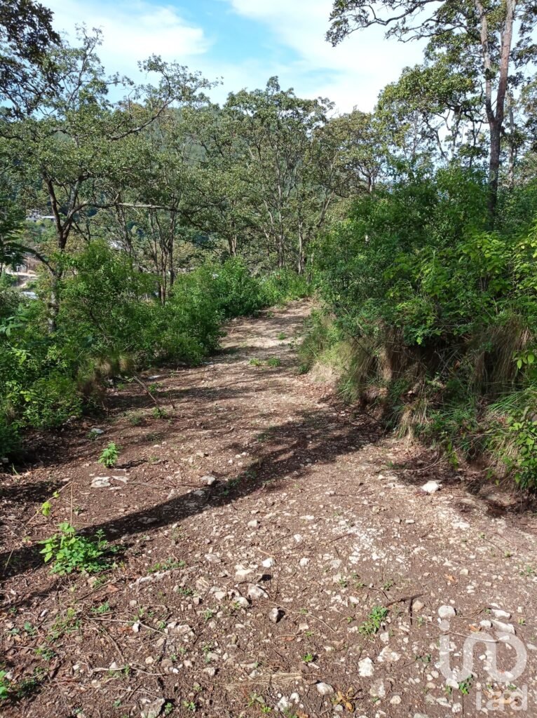Terreno en venta barrio de San Nicolás, San Cristóbal de las Casas, Chiapas - 2225955 terreno en venta terreno en venta barrio de san nicolas san cristobal de las casas chiapas 52811