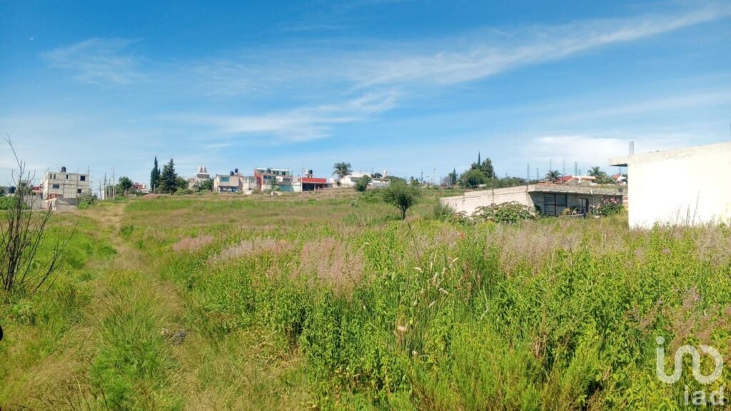 Terreno en Venta En Colonia Nueva Alemania, Cerca de VW Y Parque FINSA