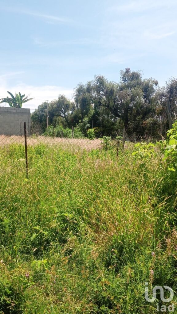 Terreno en Venta En Colonia Nueva Alemania, Cerca de VW Y Parque FINSA