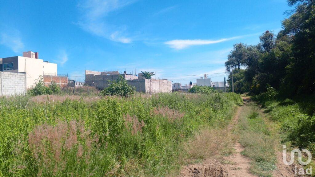 Terreno en Venta En Colonia Nueva Alemania, Cerca de VW Y Parque FINSA