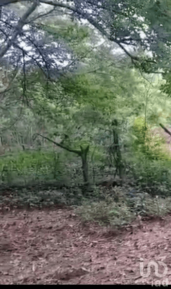 Venta de Terreno en bahia de banderas higuera blanca