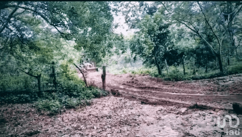 Venta de Terreno en bahia de banderas higuera blanca