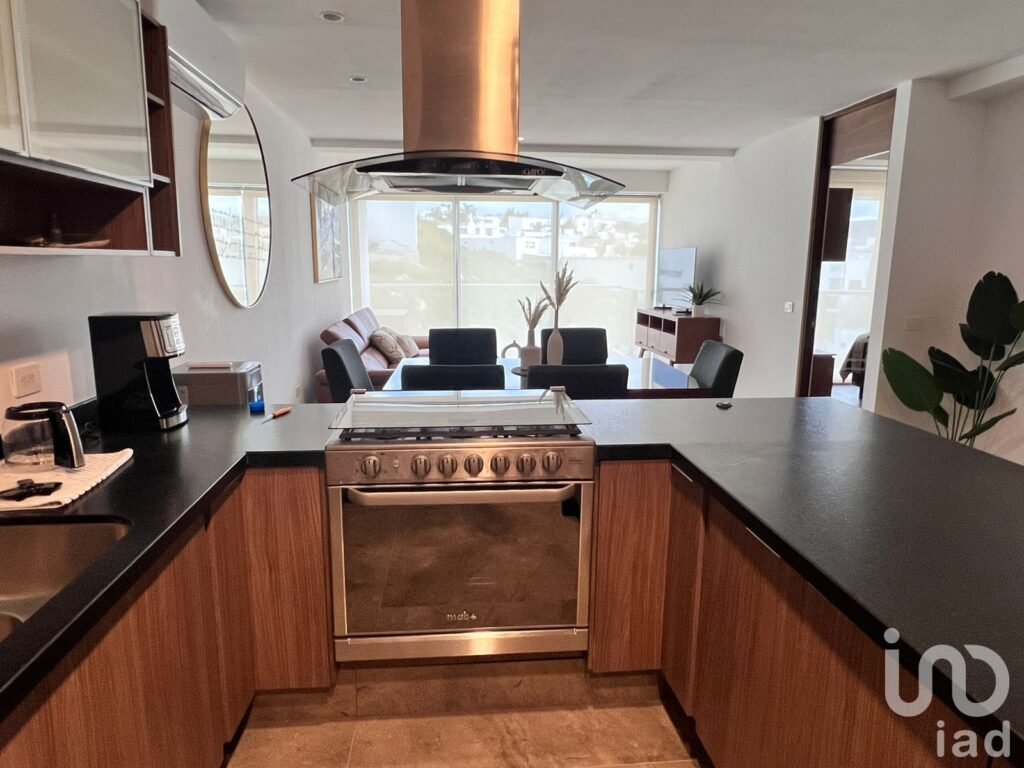 RENTA  de Departamento AMUEBLADO en THELEMENT, SLP