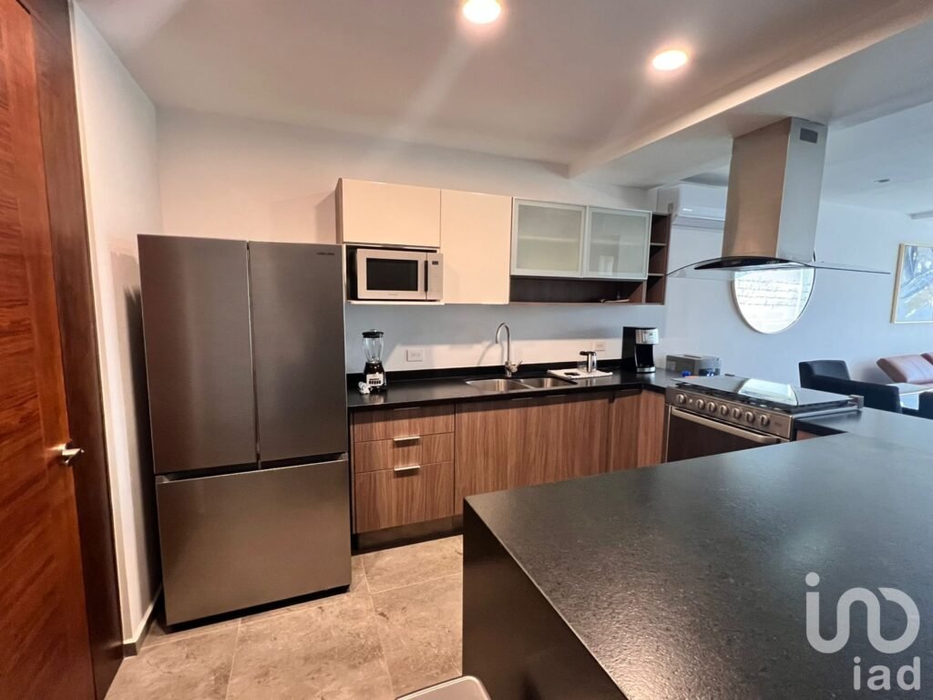 RENTA  de Departamento AMUEBLADO en THELEMENT, SLP