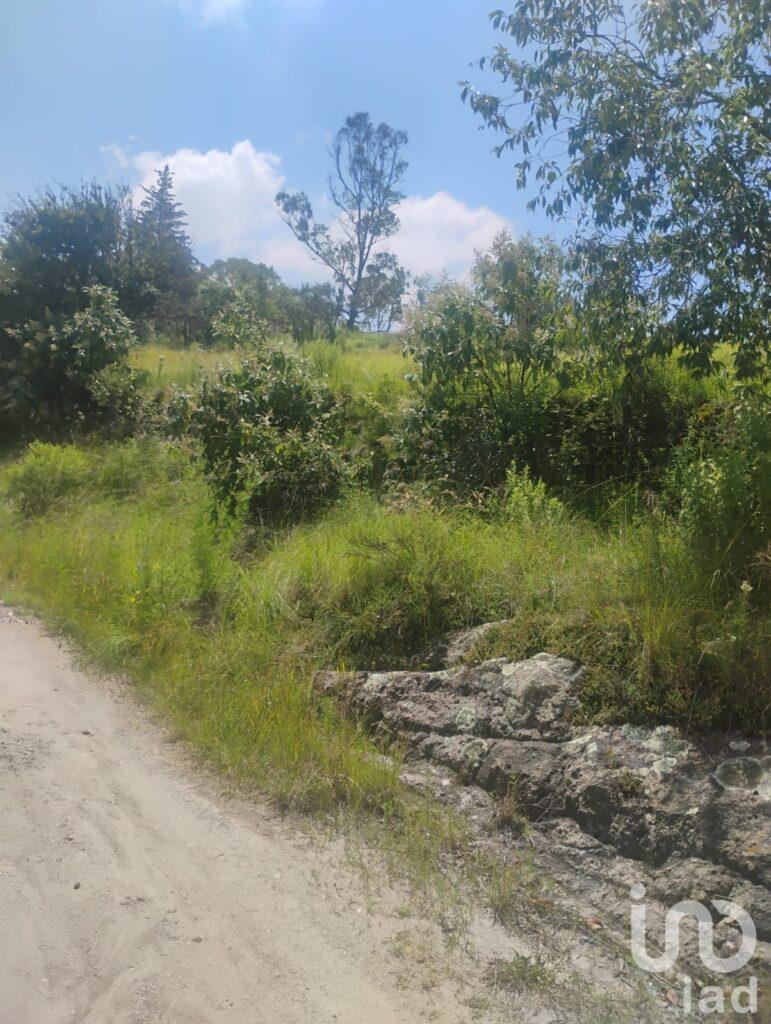 Terreno en Santa María a 200 metros del Hotel la Esperanza, en Aculco México.