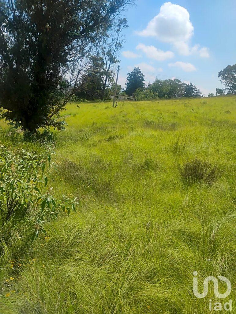 Terreno en Santa María a 200 metros del Hotel la Esperanza, en Aculco México.