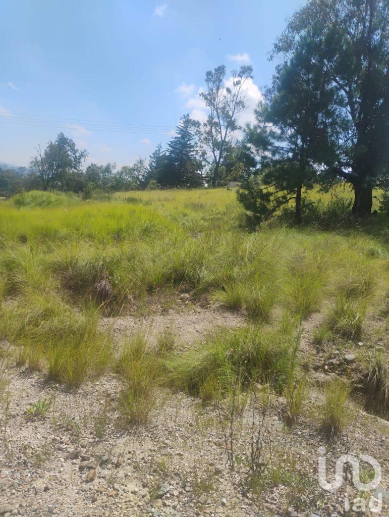 Terreno en Santa María a 200 metros del Hotel la Esperanza, en Aculco México.