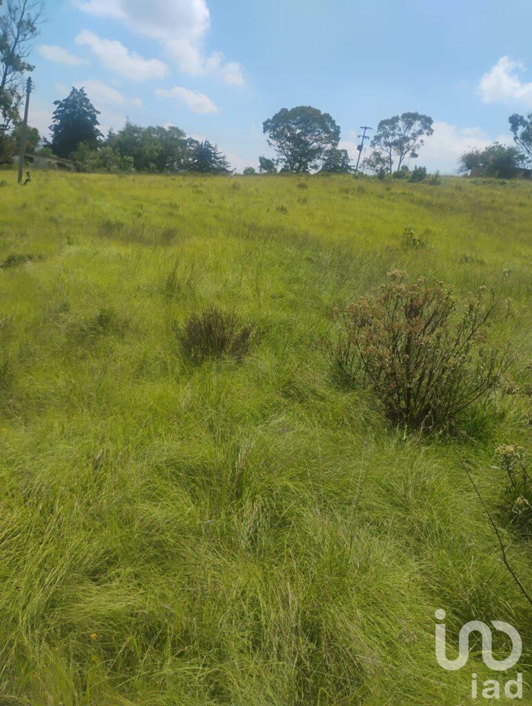 Terreno en Santa María a 200 metros del Hotel la Esperanza, en Aculco México.