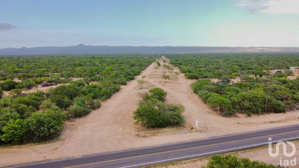 Terreno en venta en san José del cabo