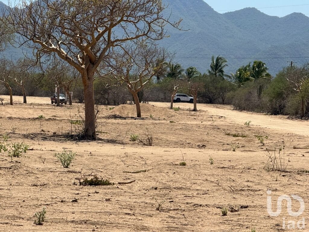 Terreno en venta en san José del cabo