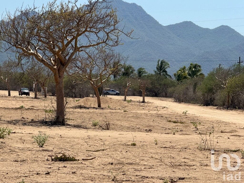 Terreno en venta en san José del cabo