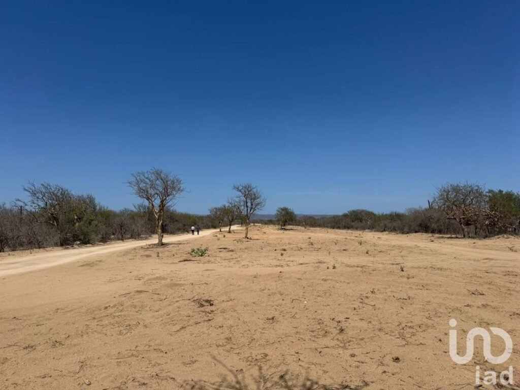 Terreno en venta en san José del cabo