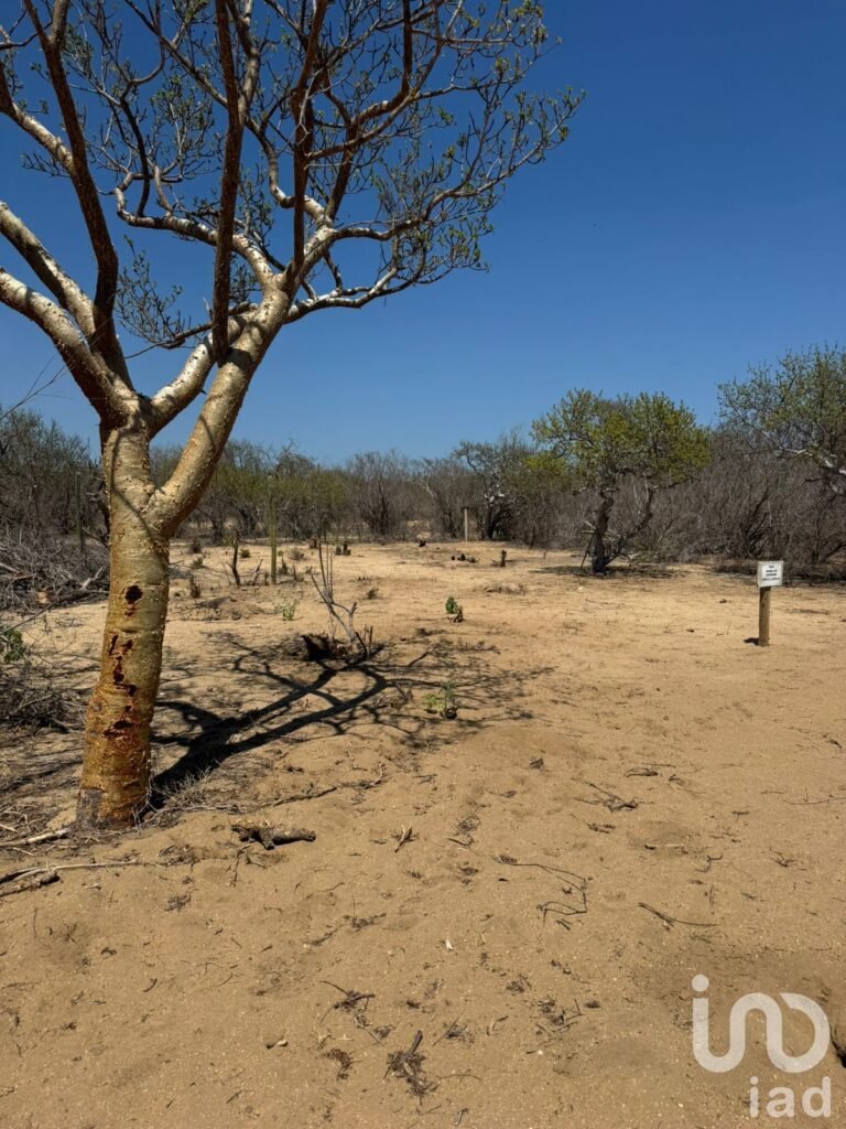 Terreno en venta en san José del cabo