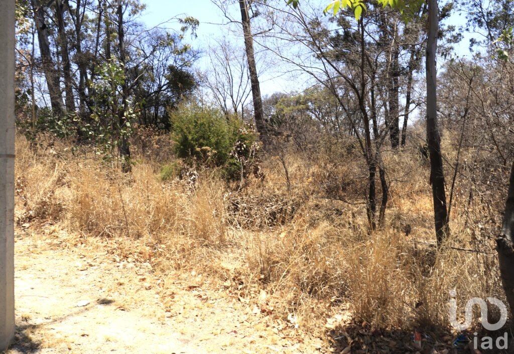 venta de Terreno en Haras del Bosque 810 m2