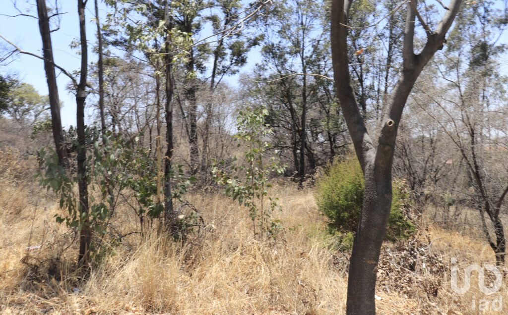 venta de Terreno en Haras del Bosque 810 m2