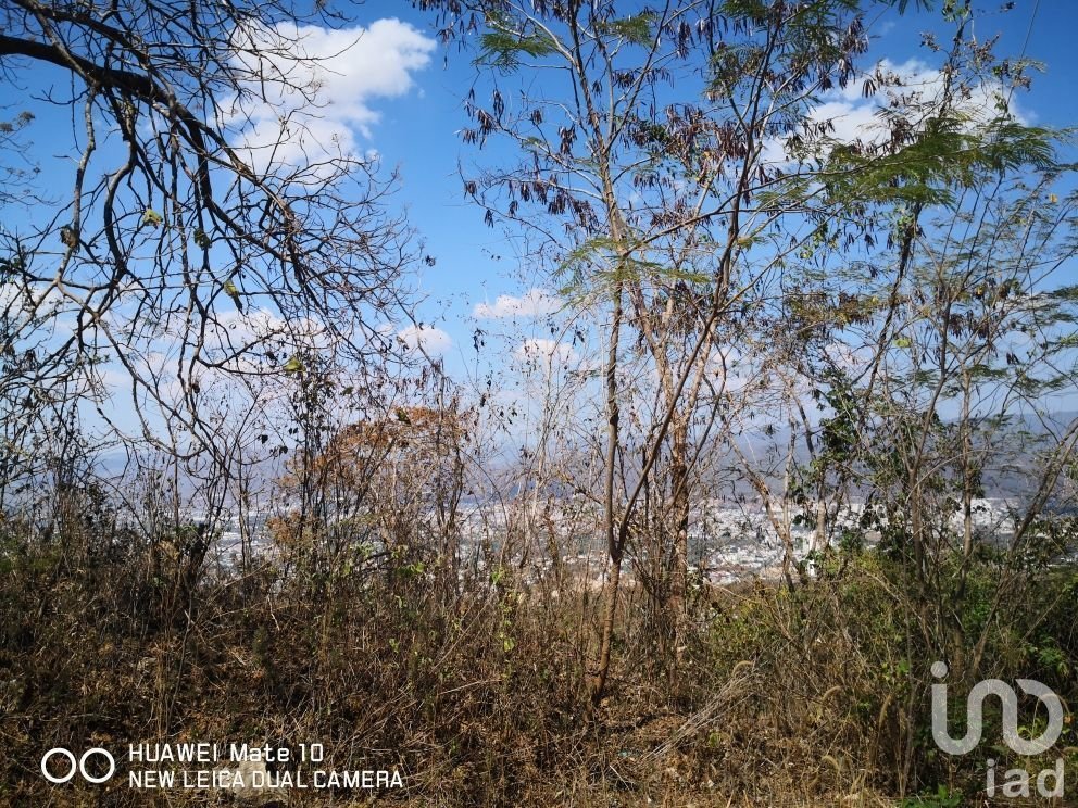 TERRENO EN VENTA DE 4.5 HECTAREAS EN LOMAS DE MATUMATZA, TUXTLA TERRENO EN VENTA DE 4.5 HECTAREAS EN LOMAS DE MATUMATZA, TUXTLA